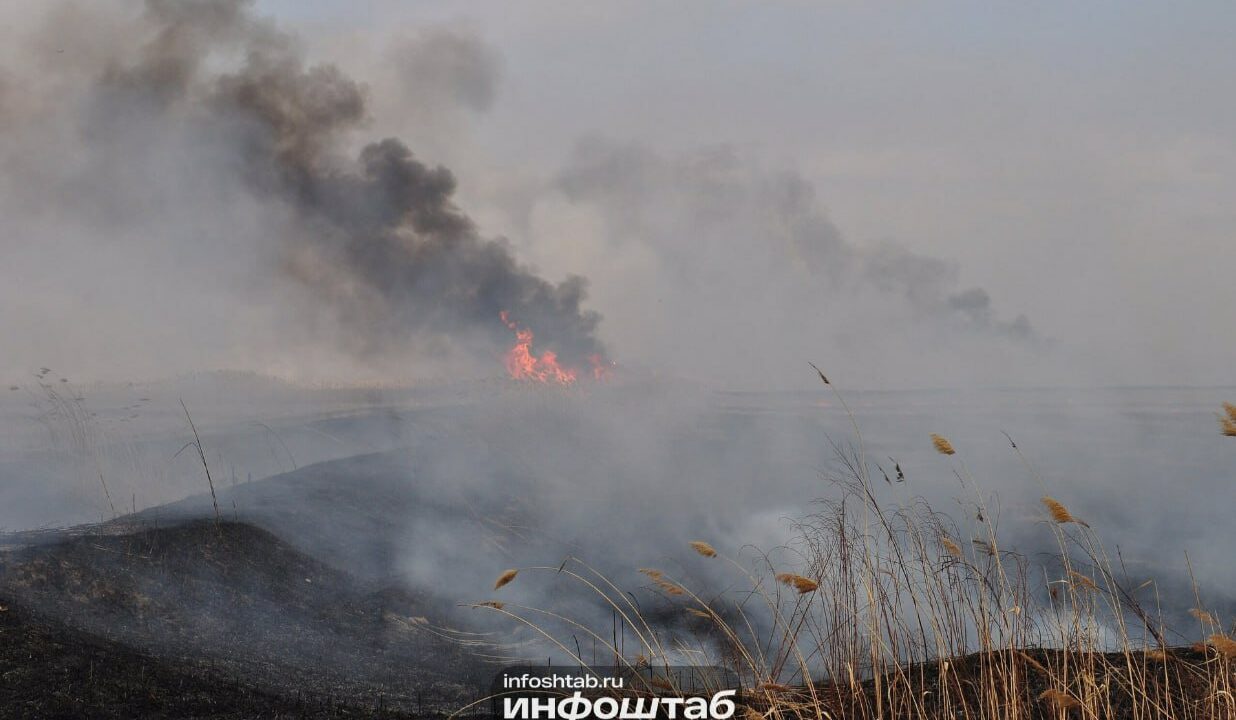Калининградская область, как и вся Россия, продолжает бороться с проблемой несанкционированного пала травы.