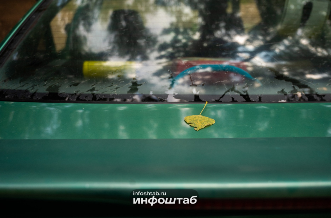 машина, авто