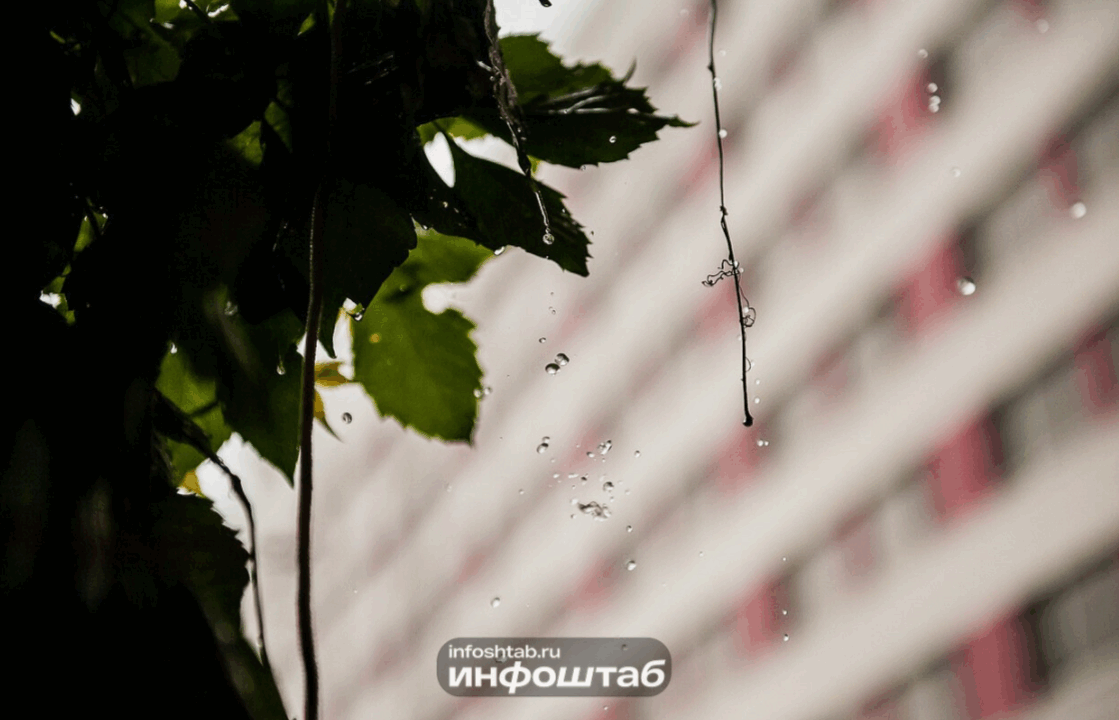 Воскресенье в Калининградской области: похолодание, ветер и возможные дожди