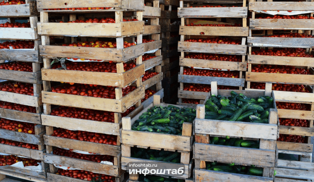 Россельхознадзор усилил контроль за применением пестицидов в регионе