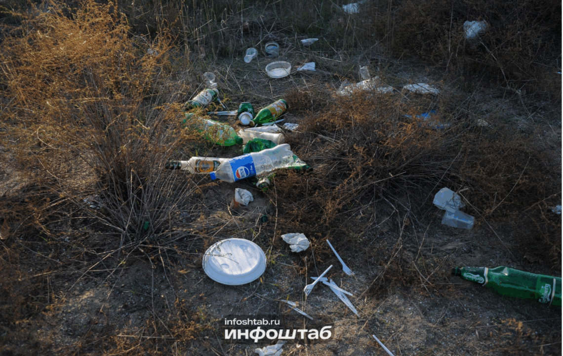 В Калининградской области ликвидировали более ста несанкционированных свалок