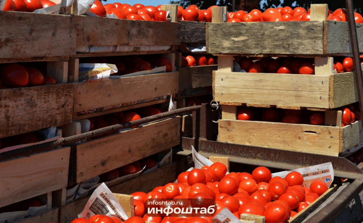 Россельхознадзор вынес предостережение компании за нарушение порядка уведомления о доставке подкарантинной продукции