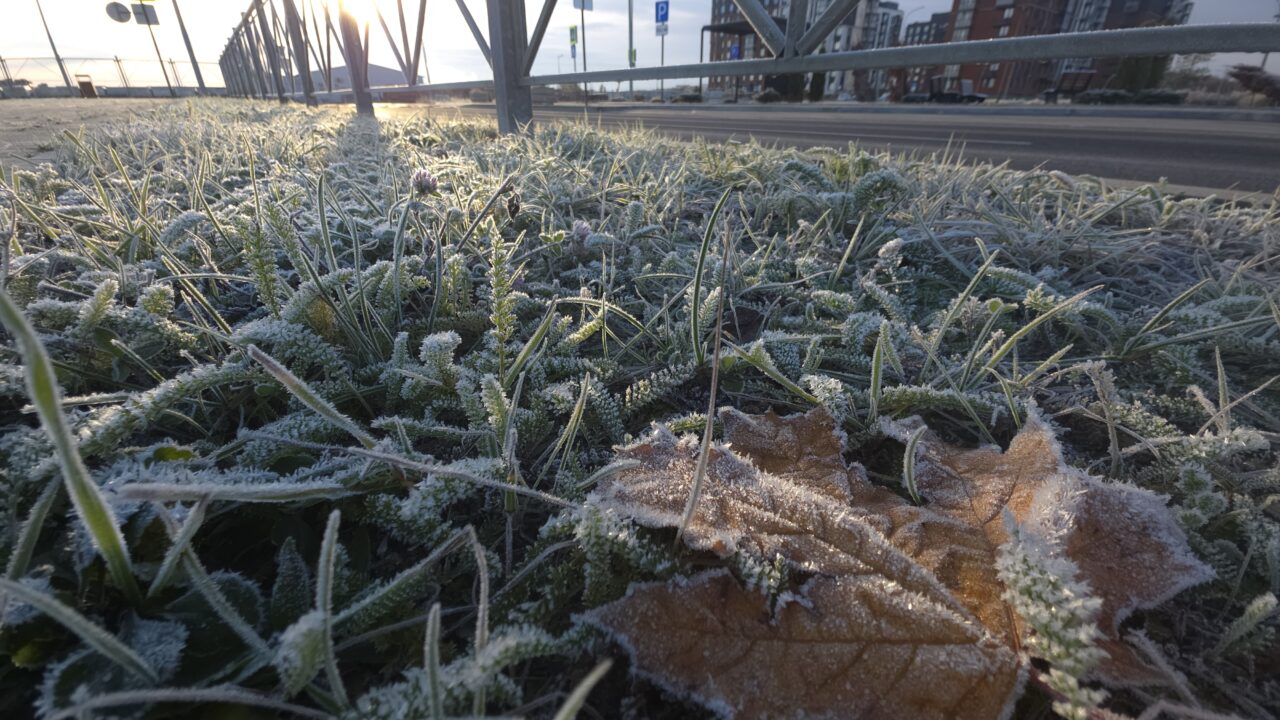 В Калининграде и на западе области фиксируются ледяной и переохлаждённый дождь, ожидается снег