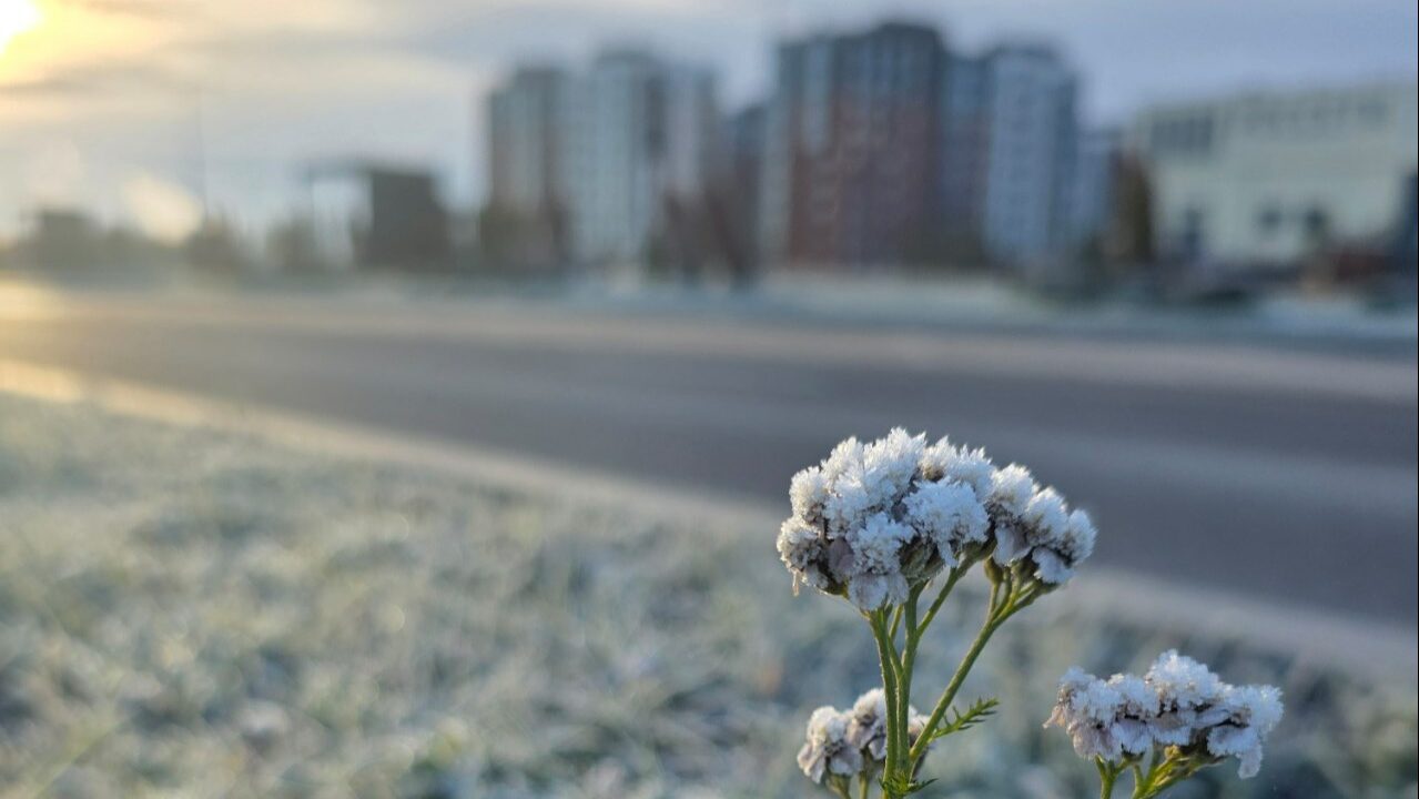 Поздняя осень укрепляется в регионе