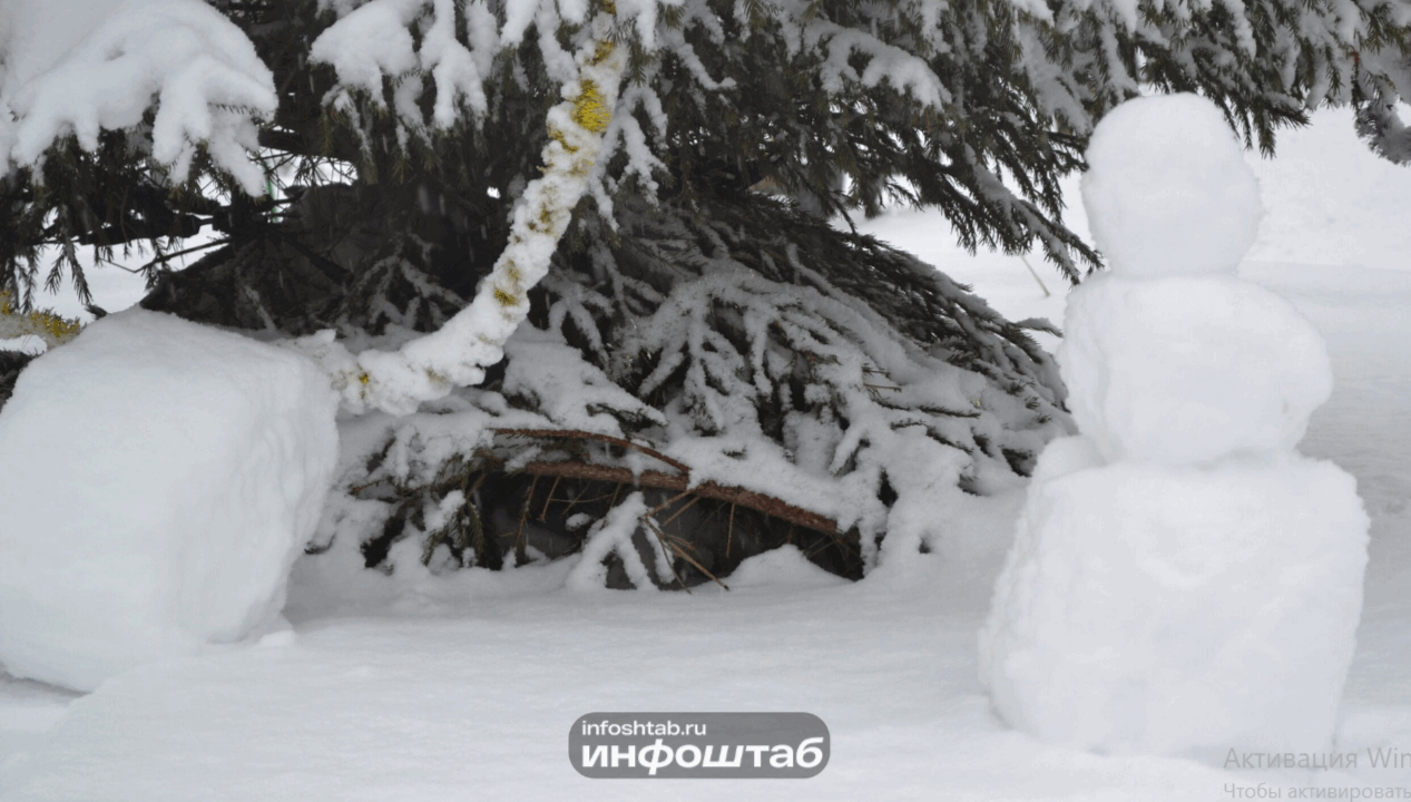 Запрещено катание на горках в Центральном парке Калининграда из-за отсутствия безопасной инфраструктуры