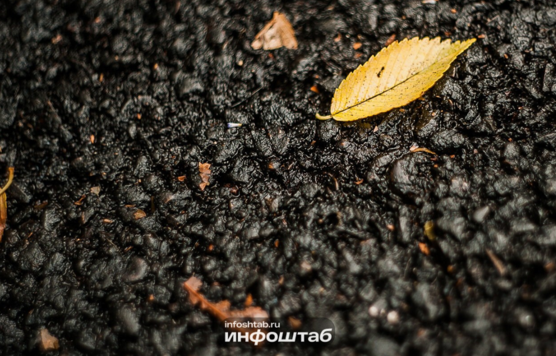 Усиление ветра ожидается в Калининградской области 11 декабря