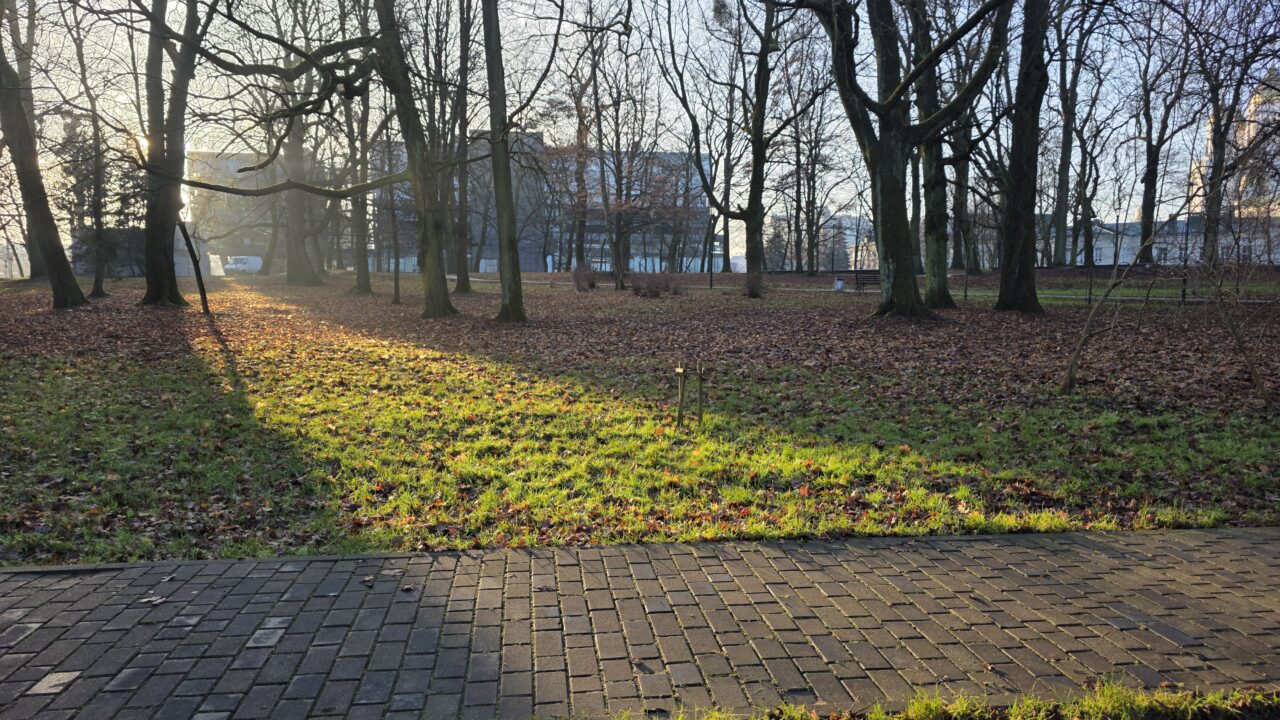 Сегодня самый короткий день и самая длинная ночь в году