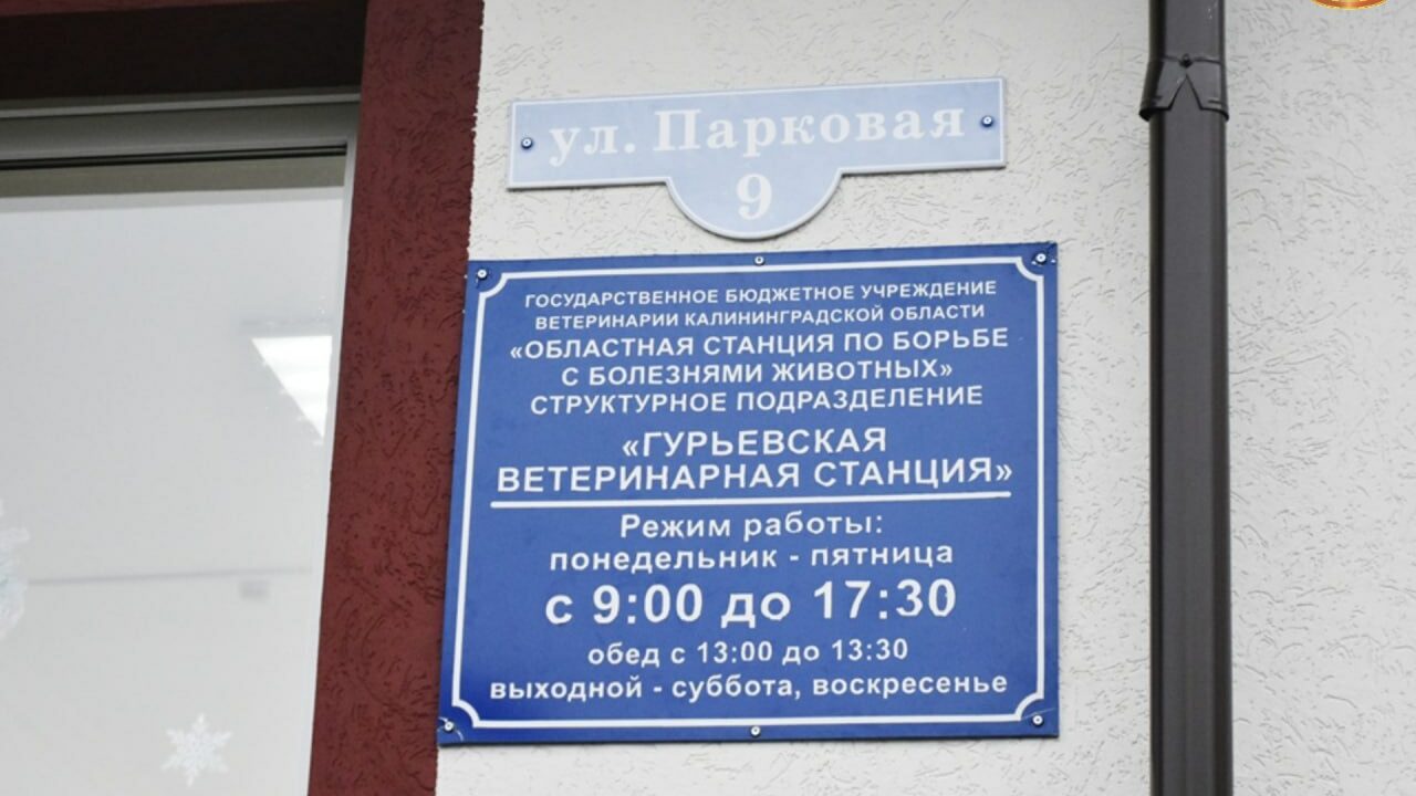 Здания ветеринарных служб Калининградской области ремонтируют и модернизируют