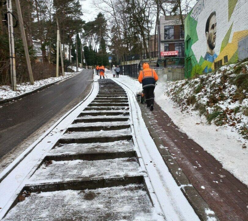 Шторм в Светлогорске оставил десятки поваленных деревьев