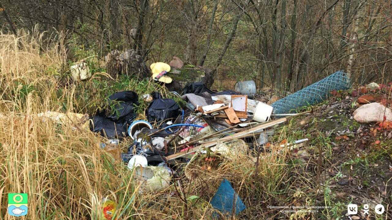 В ходе проверки земель в районе Кумачевки выявлены борщевик и строительный мусор