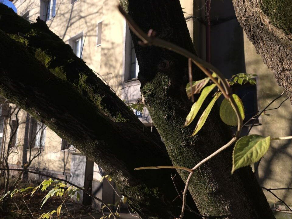 Филимонов день 27 декабря: запреты, поверья и народные приметы погоды