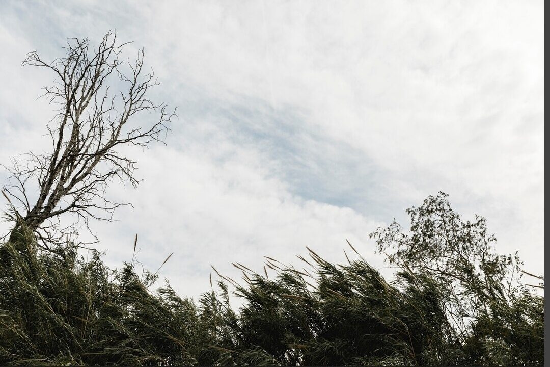 Аэропорт Храброво меняет расписание из-за сильных ветров