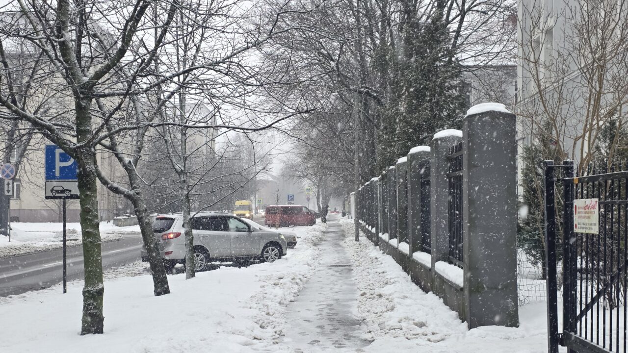 Калининградскую область накроют снегопады и усиление ветра из-за циклона