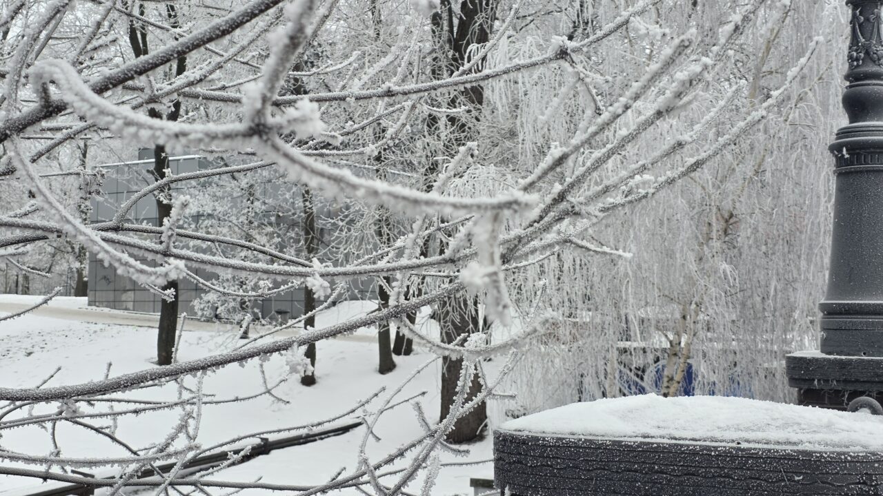 Морозы и усиление ветра ожидаются в Калининградской области