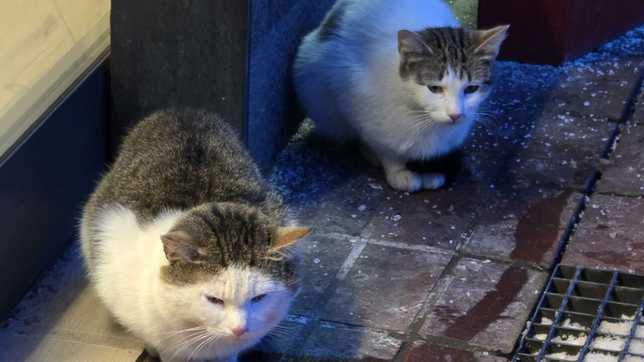 Готовимся к сильнейшему похолоданию: мороз до минус двадцати градусов