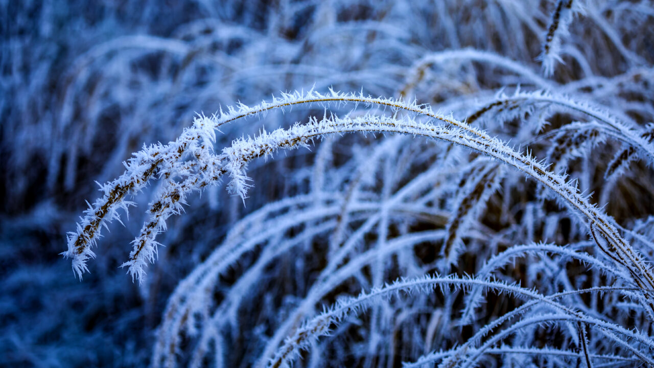 Макарьев день 1 февраля: традиции, запреты и погодные приметы