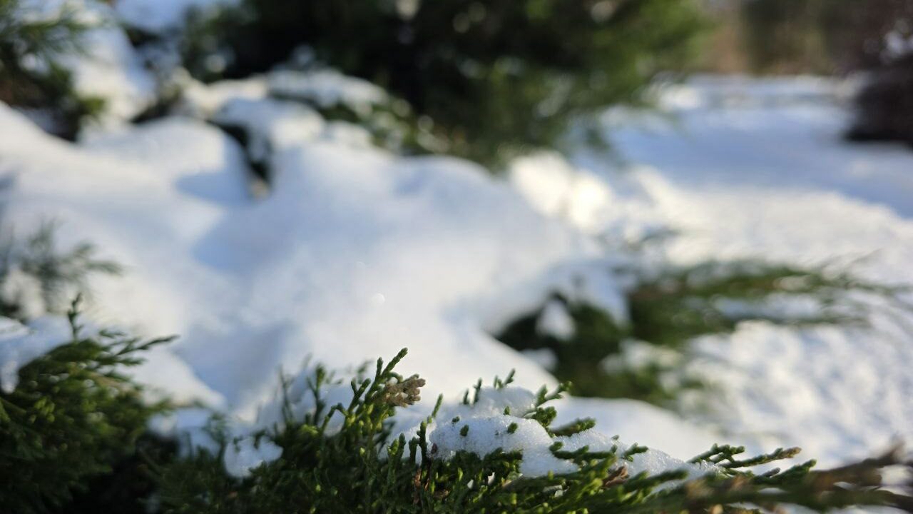 Рождество Христово: истоки и приметы