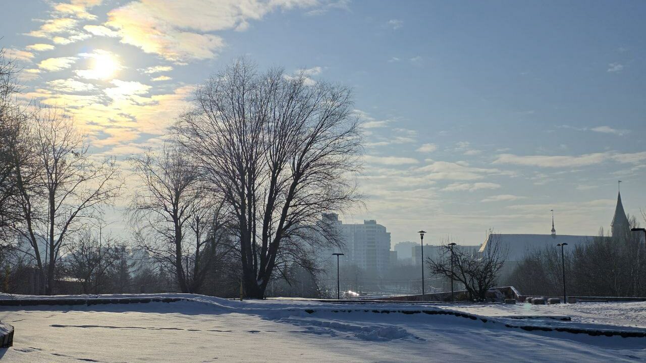 Рождество в Калининградской области пройдет при морозной погоде