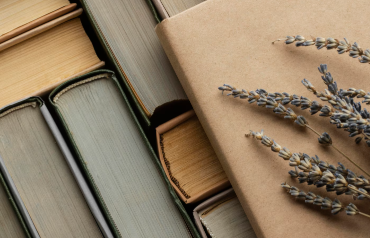 Согревая сердце: 14 февраля отмечается день дарения книг