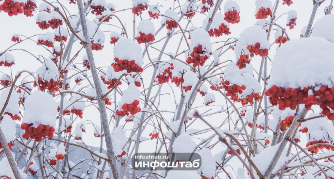 В воскресенье ожидаются осадки и возможная гололедица