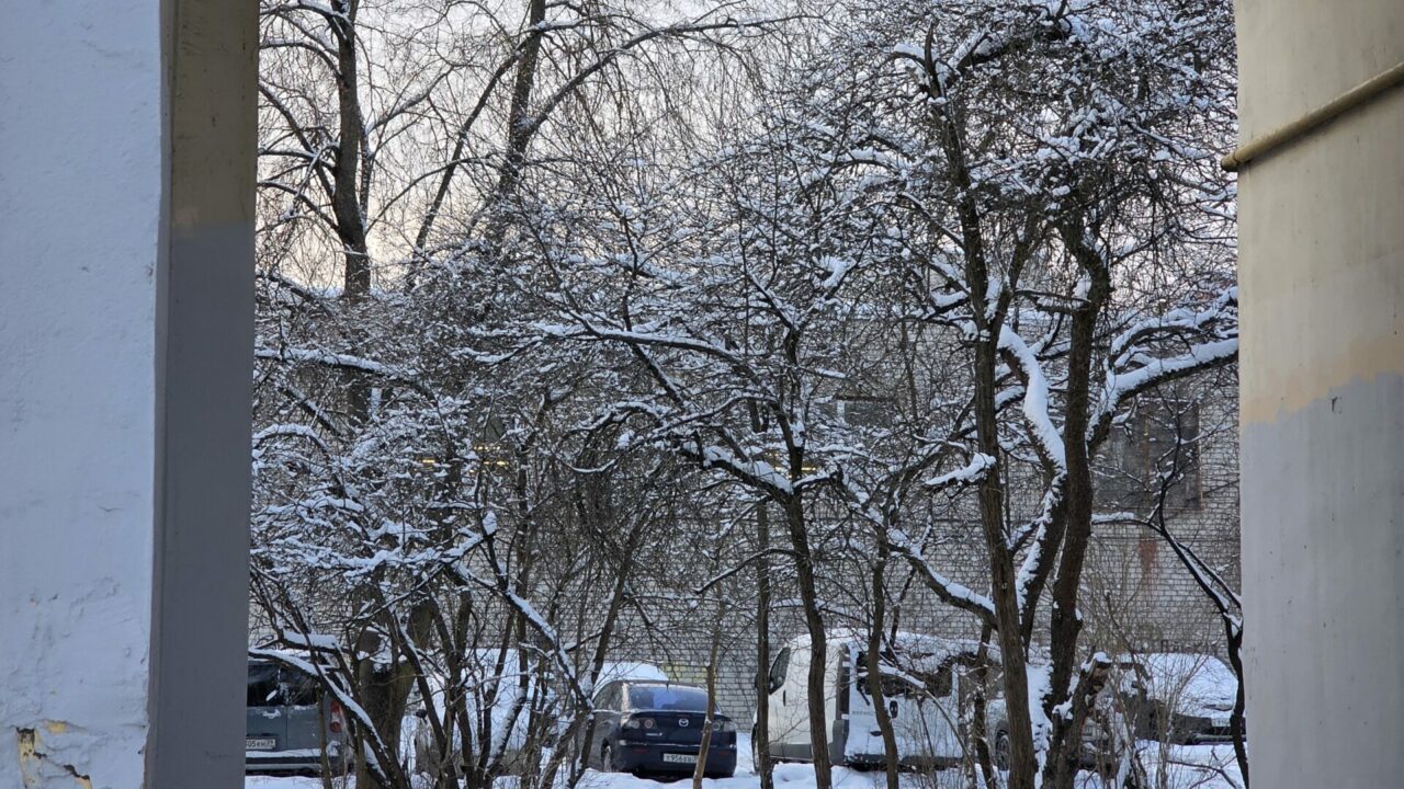 На Вуколу 19 февраля судили о весне и будущем лете