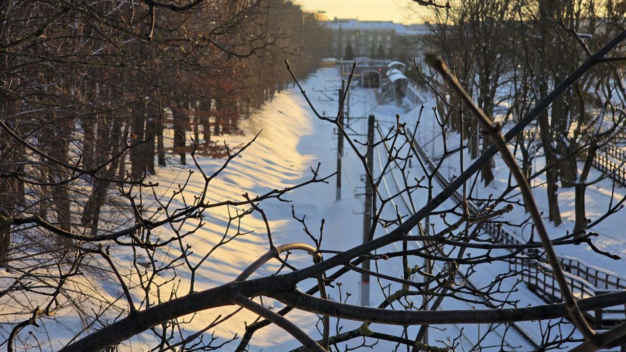 Февральский снег в Калининградской области оказался устойчивым и плотным