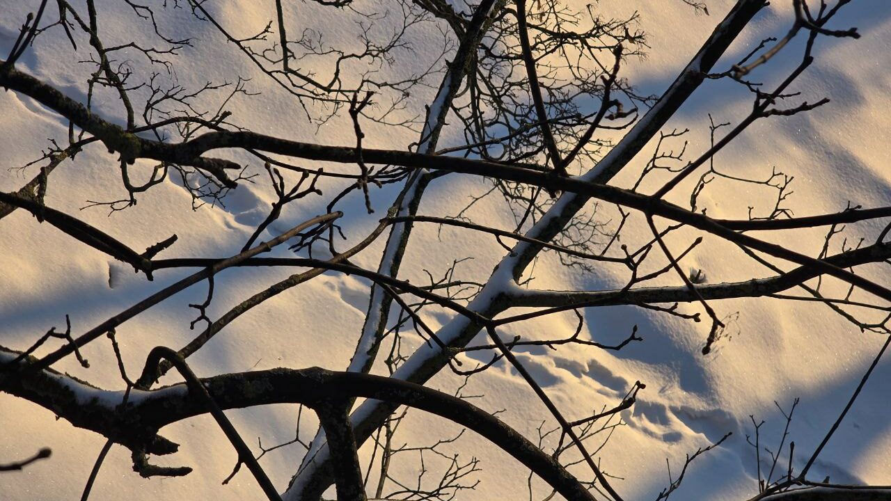 Златоустьев день 9 февраля связан с памятью Иоанна Златоуста