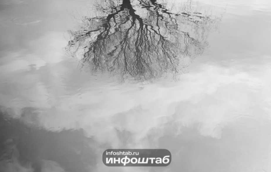 В среду в Калининградской области потеплеет до плюс 17 градусов