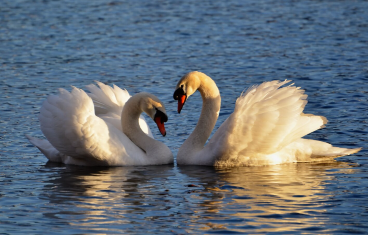 В нацпарке Виштынецкий за 160 млн создадут тропы и визит-центр