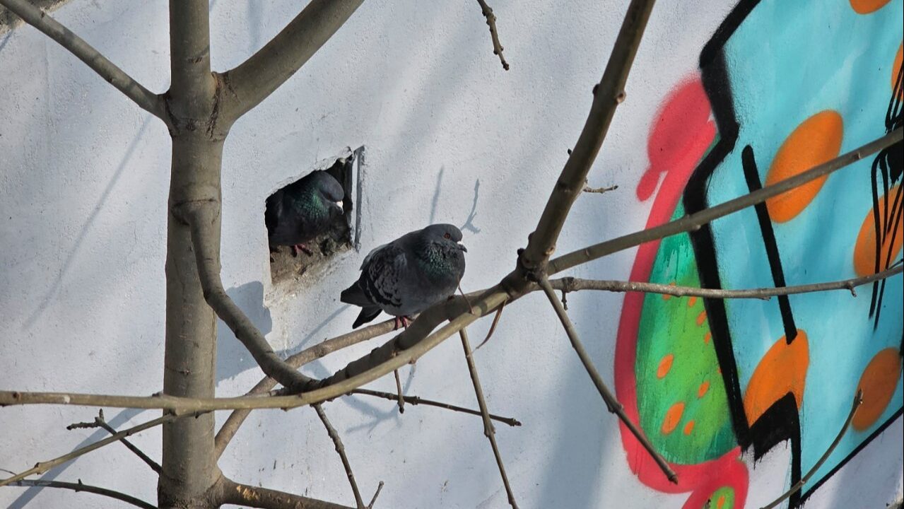 Погода в Калининградской области на понедельник будет прохладной
