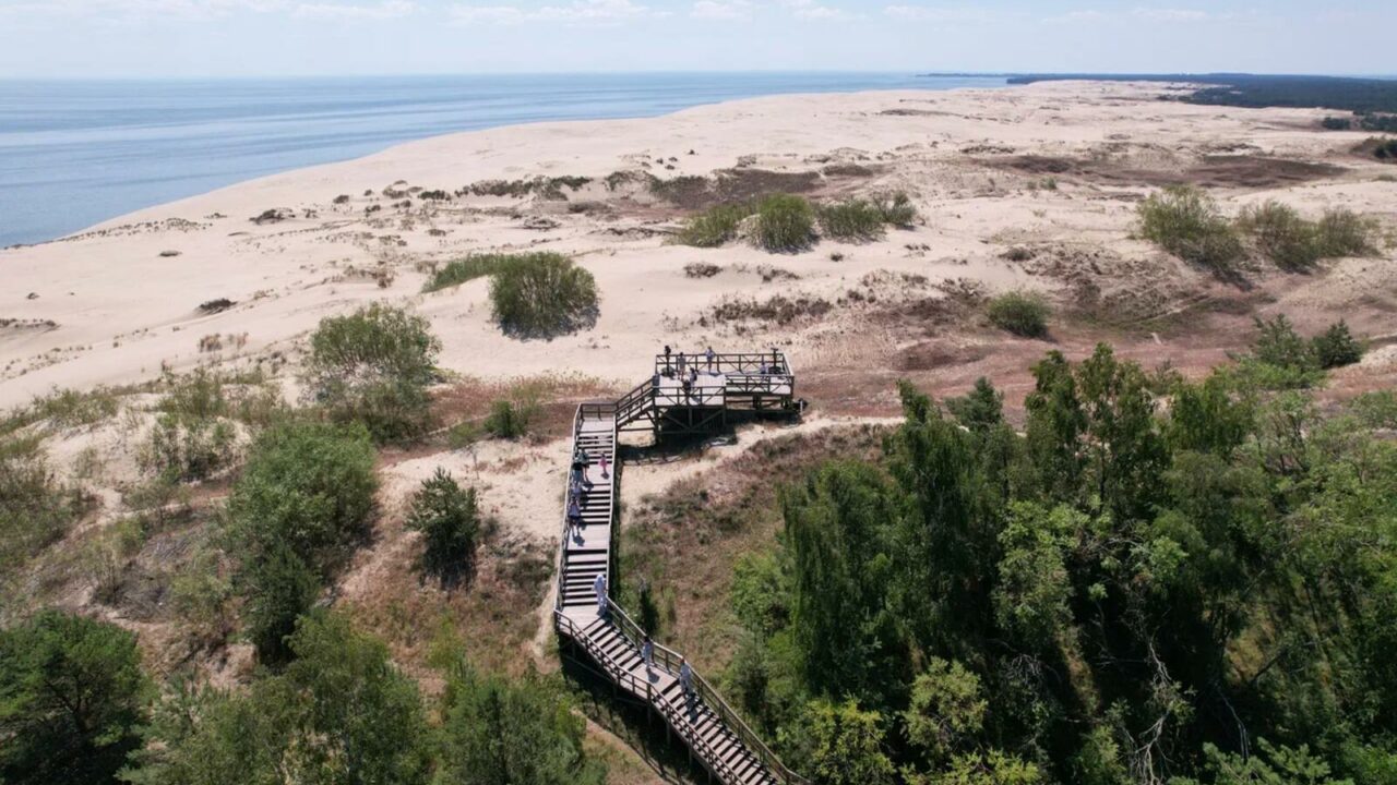 На Куршской косе пройдет экологический праздник ко Дню птиц