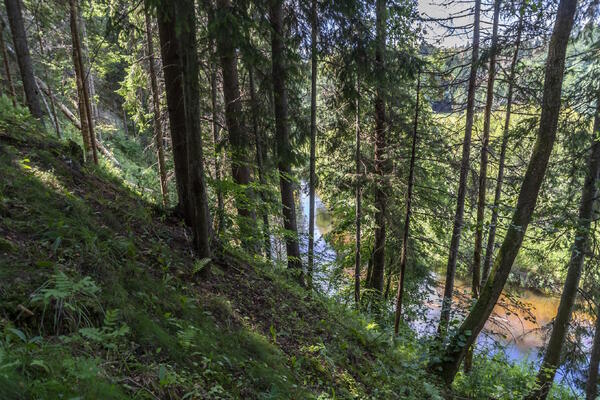 В Виштынецком нацпарке разъяснили правила посещения и планы развития