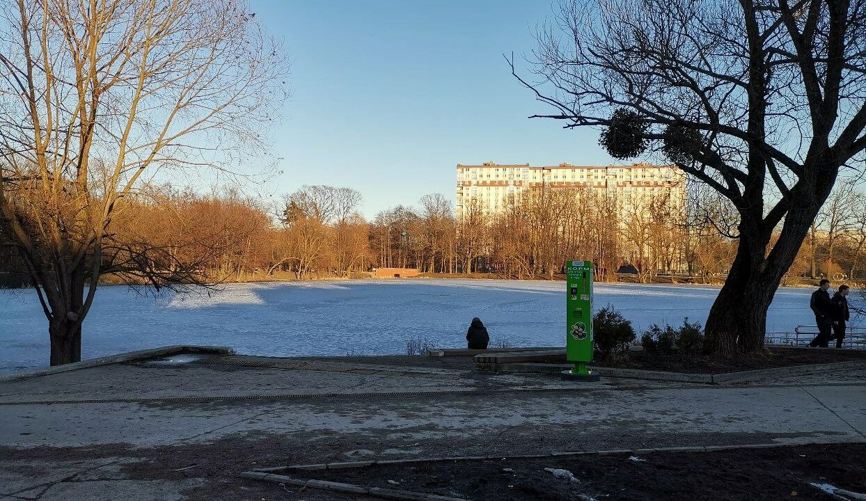 На Летнем озере в Калининграде установили автоматы с кормом для птиц