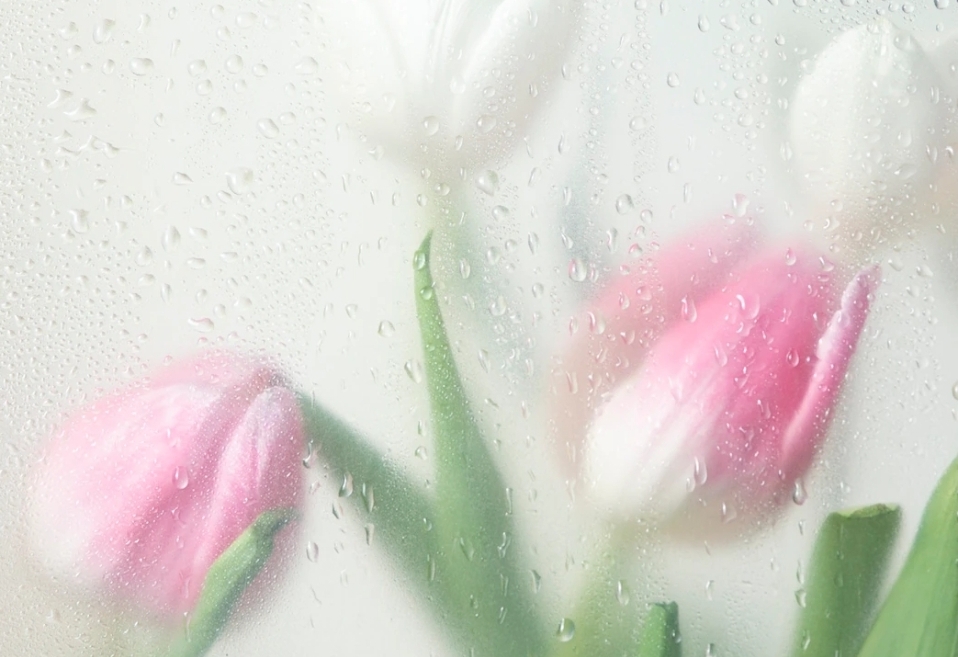 Поликарпов день 8 марта сопровождался приметами и запретами