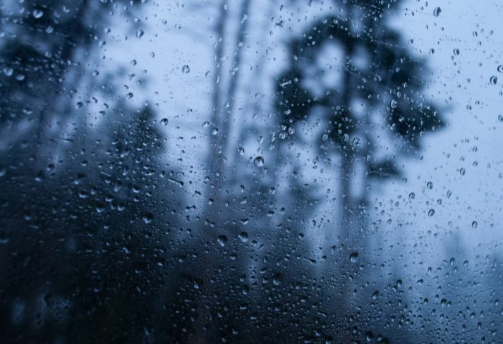 В Калининградской области на выходных ожидаются дожди и похолодание