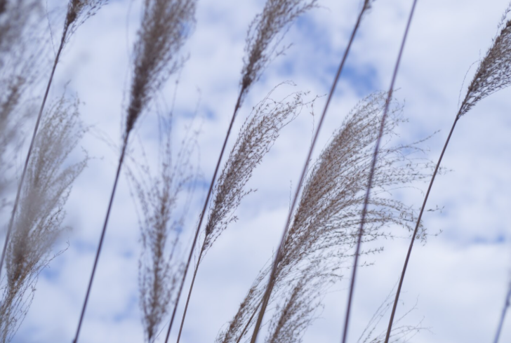 Калининградцев предупредили о ветреной и прохладной погоде
