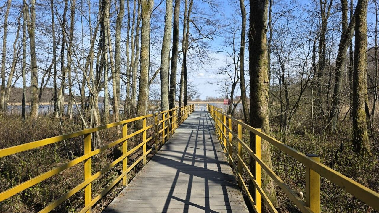 Калининград возглавил рейтинг популярных направлений на майские праздники