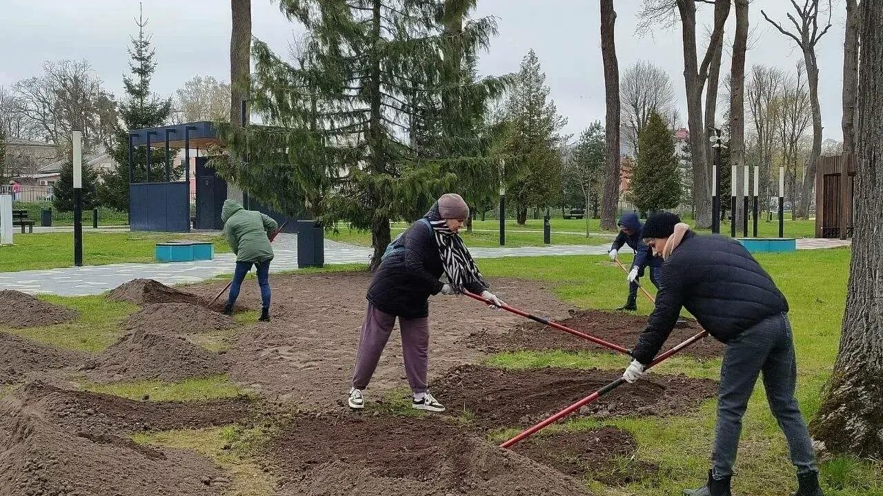 Более 7000 жителей области вышли на субботники в рамках нацпроекта
