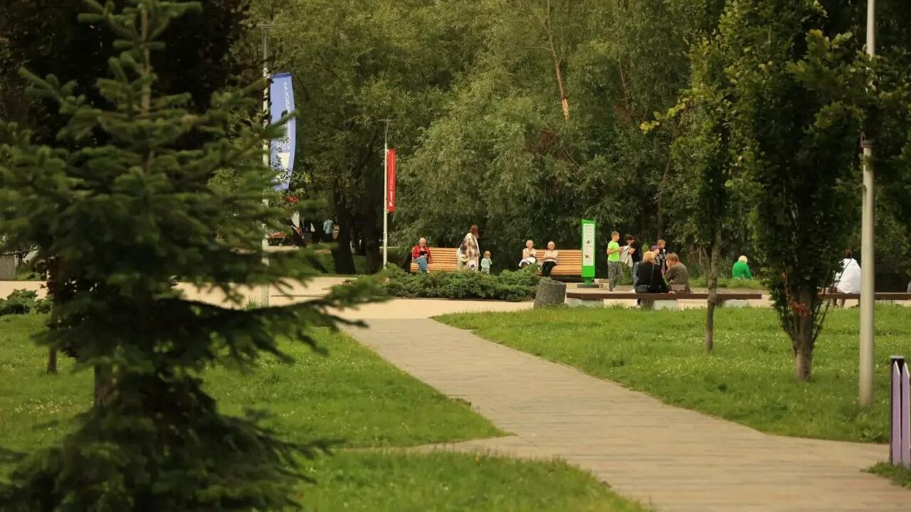 На Летнем озере в Калининграде установили новые скамейки-диваны